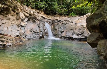 JUNGLE DREAMS FARM: WHERE NATURE MEETS SERENITY – 20 ACRES